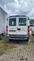 Iveco Sonstige Weiß - thumbnail 3