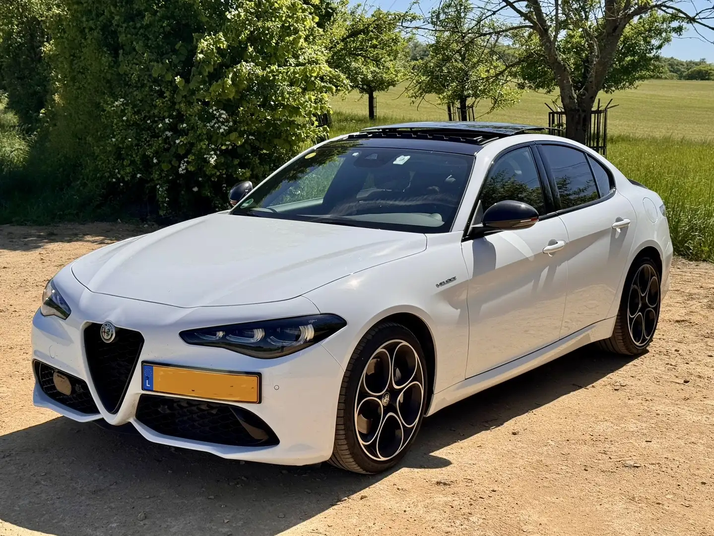 Alfa Romeo Giulia 2.2 Diesel AT8-Q4 Veloce - 1