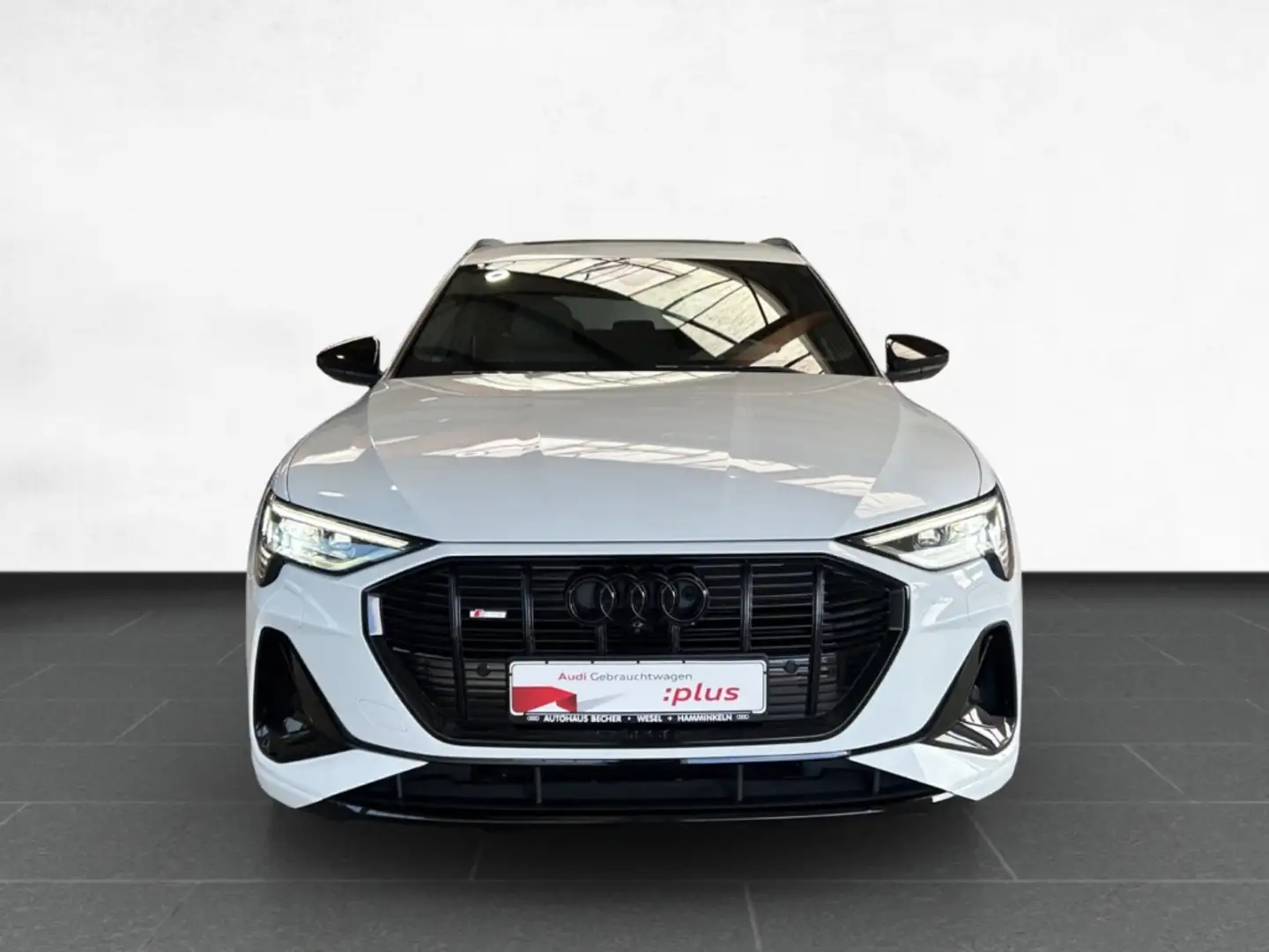 Audi e-tron 55 quattro S-line /Top-View/LED/Navi/AHK Blanc - 2