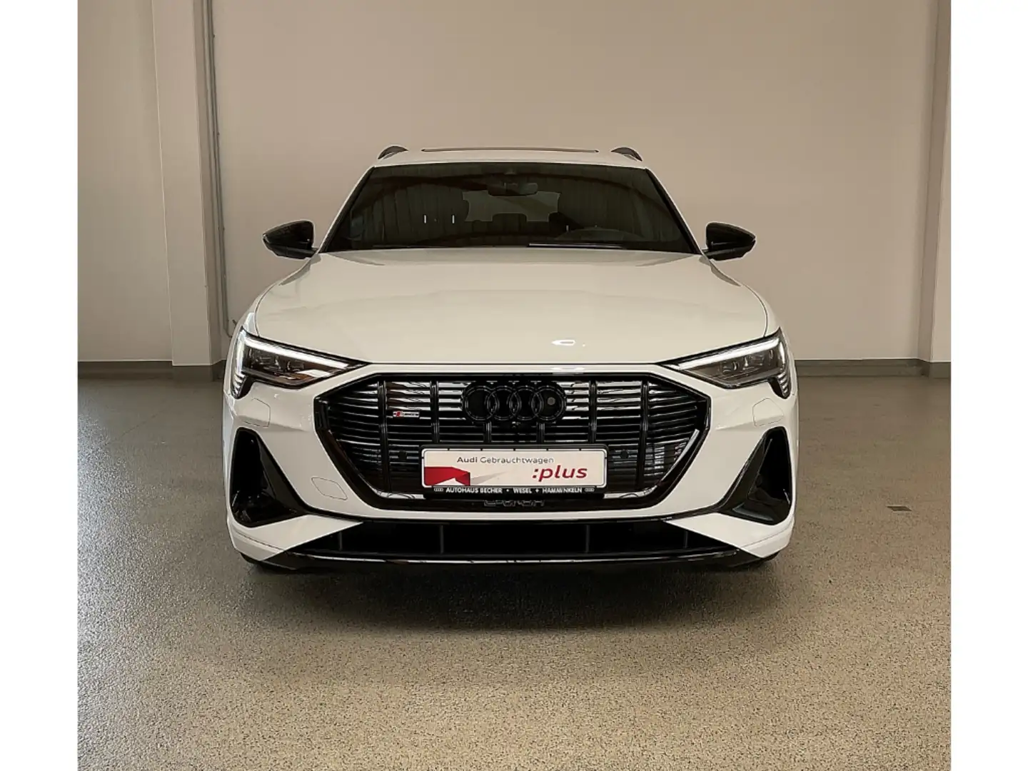 Audi e-tron 55 S-line quatttro /Top-View/LED/Navi/AHK Blanco - 2