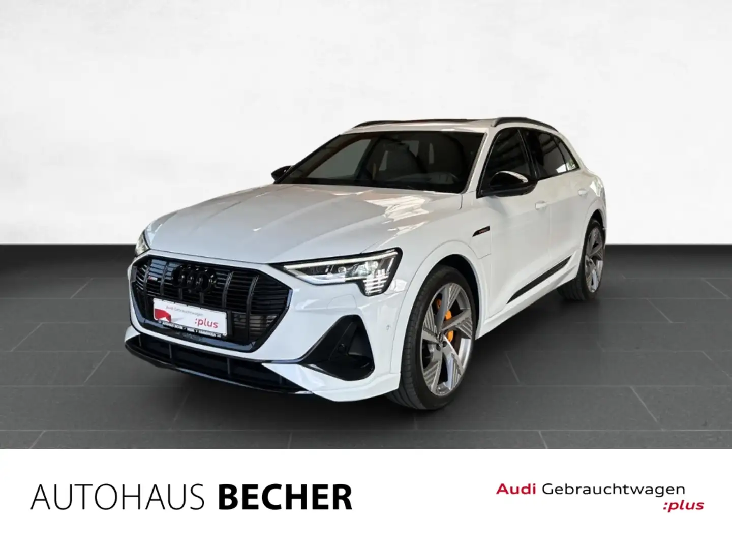Audi e-tron 55 quattro S-line /Top-View/LED/Navi/AHK Blanc - 1