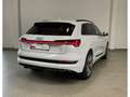 Audi e-tron 55 S-line quatttro /Top-View/LED/Navi/AHK Blanco - thumbnail 3