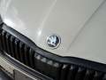 Skoda Octavia RS FirstEdition DAB+ Ambiente Steel-Grey Grau - thumbnail 12