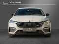 Skoda Octavia RS FirstEdition DAB+ Ambiente Steel-Grey Grau - thumbnail 3