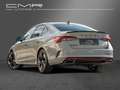 Skoda Octavia RS FirstEdition DAB+ Ambiente Steel-Grey Grau - thumbnail 5