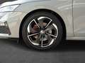 Skoda Octavia RS FirstEdition DAB+ Ambiente Steel-Grey Grau - thumbnail 8