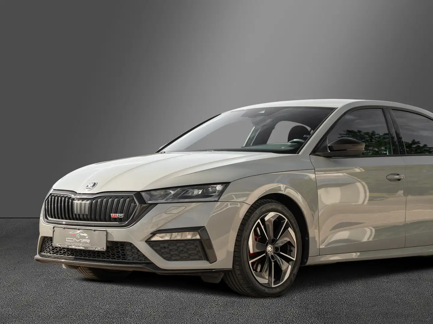 Skoda Octavia RS FirstEdition DAB+ Ambiente Steel-Grey Grau - 2