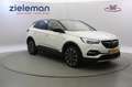 Opel Grandland X 1.6 Turbo Hybrid4 Business Executive - Carplay, Ha Wit - thumbnail 1