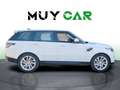 Land Rover Range Rover Sport 3.0D I6 MHEV HSE Aut. 249 Weiß - thumbnail 8
