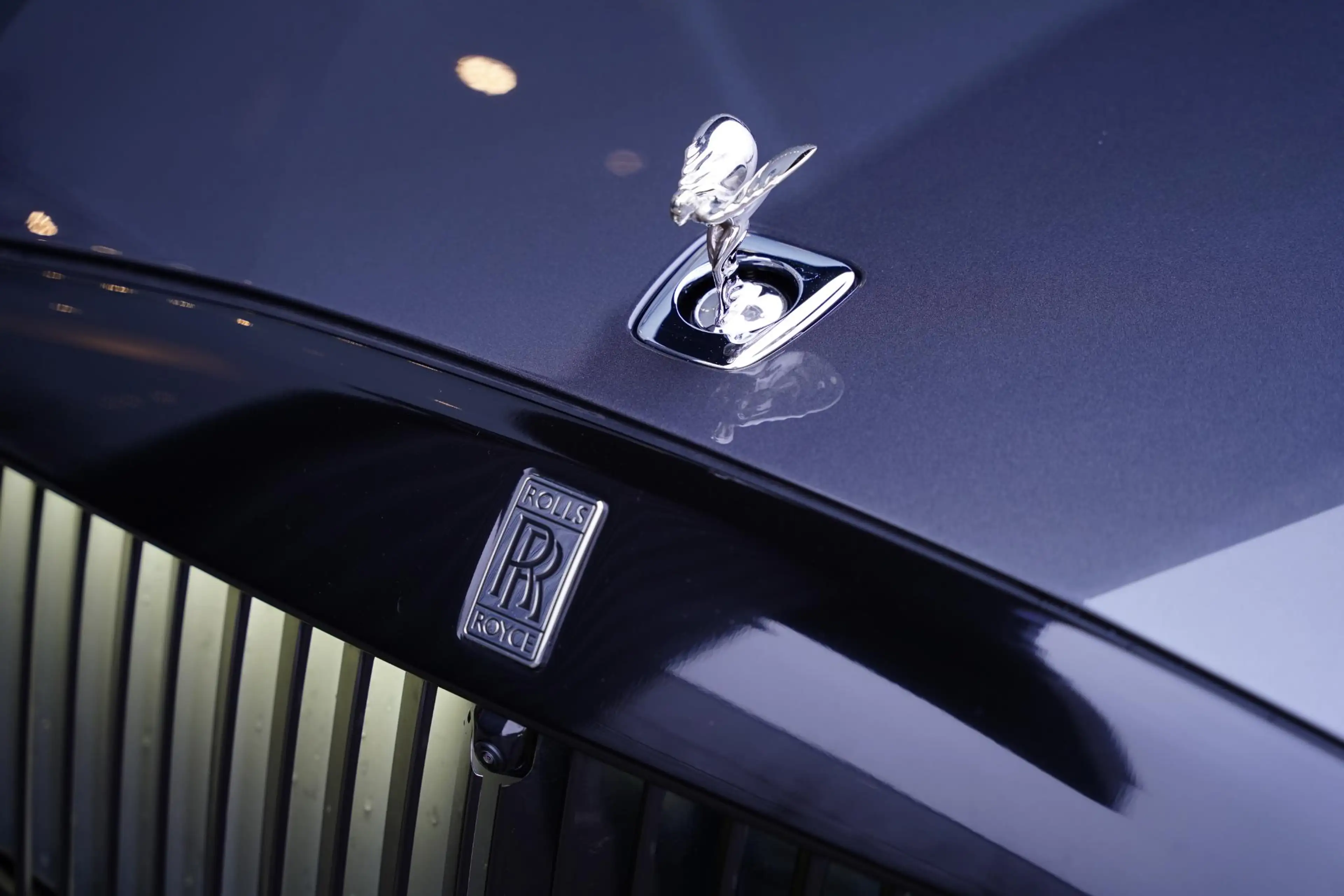 Rolls-Royce Spectre AWD / Two Tone Interior + Exterior — photo 25
