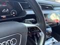Audi e-tron 50 quattro 230 kW Business Grau - thumbnail 15