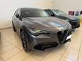 Alfa Romeo Stelvio Stelvio 2023 2.2 t Veloce Q4 210cv auto Gris - thumbnail 2