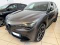 Alfa Romeo Stelvio Stelvio 2023 2.2 t Veloce Q4 210cv auto Gris - thumbnail 1