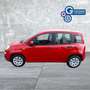 Fiat Panda Panda 1.2 Pop Rosso - thumbnail 1