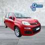 Fiat Panda Panda 1.2 Pop Rosso - thumbnail 2
