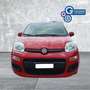 Fiat Panda Panda 1.2 Pop Rosso - thumbnail 3
