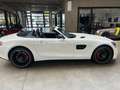 Mercedes-Benz AMG GT Roadster/Service und Garantie NEU Blanc - thumbnail 18