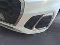 Audi Q5 S line 40 TDI quattro *PANO*LED*360 KAMERA* Weiß - thumbnail 11