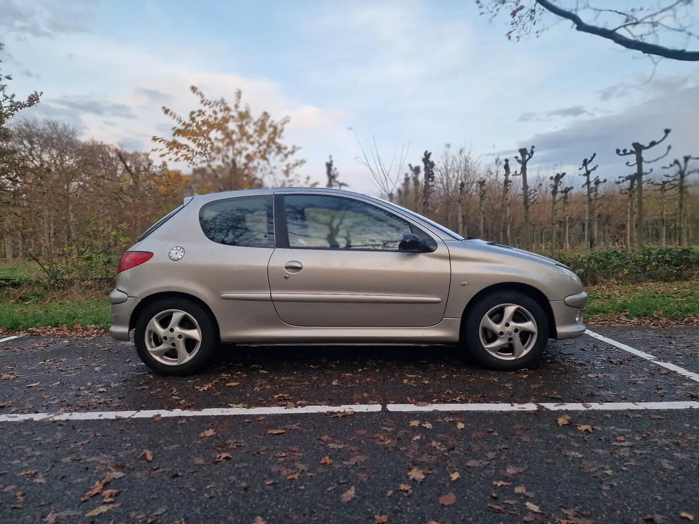Peugeot 206 1.6-16V Griffe Zilver - 1