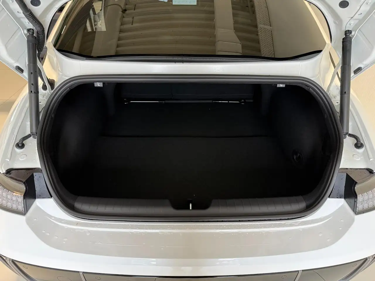 Hyundai Ioniq Top Line Long Range 77,4 kWh 4WD 239 kW (325 PS..., миниатюра 17