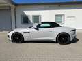 Jaguar F-Type F-Type Cabriolet Aut. R-Dynamic Limited Edition Gris - thumbnail 11
