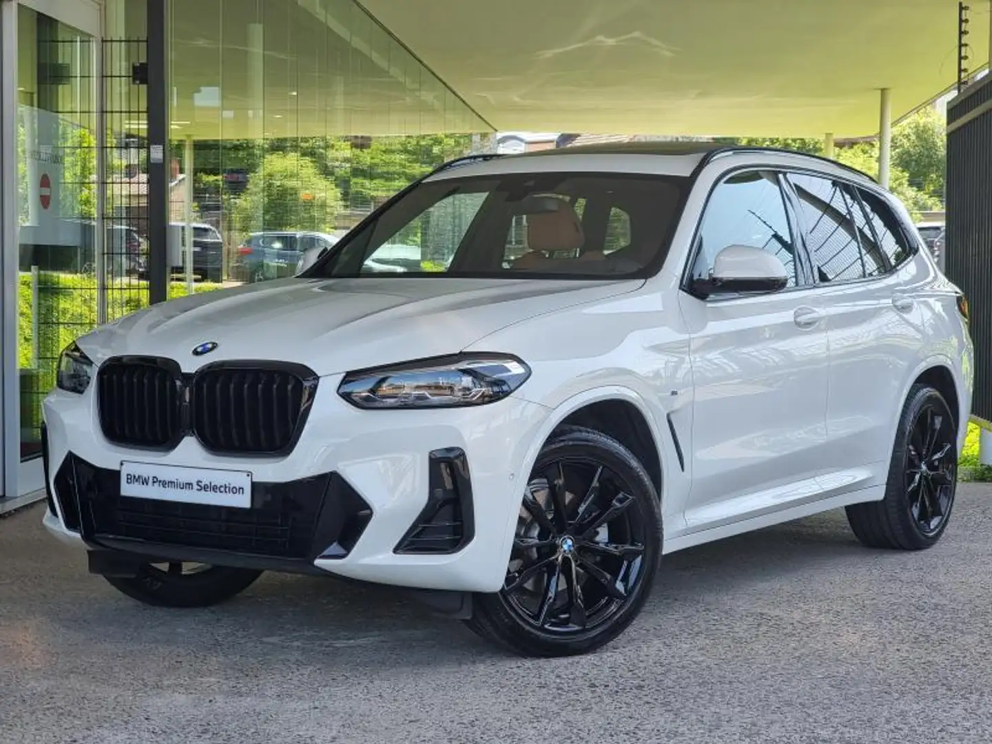 BMW X3 X3 xDrive20d Wit - 1