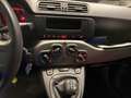 Fiat Panda Panda 1.3 MJT S&S Pop Van 2 posti PREZZO IVA Rouge - thumbnail 8