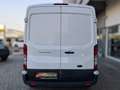 Ford Transit 350 2.0 EcoBlue 170 PM-TM Trend Blanc - thumbnail 6