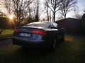 Audi A6 2.0 TDi Bronce - thumbnail 17