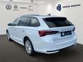 Skoda Octavia Com. 2.0 TDI DSG Selection +ACC+AHK+NAVI+SHZ+RFK Weiß - thumbnail 2