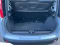 Fiat Panda Panda III 2021 1.0 hybrid Gris - thumbnail 7