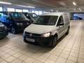 Volkswagen Caddy 2.0 TDI Maxi Kasten BMT Klima, Flügeltüren Weiß - thumbnail 2