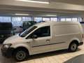 Volkswagen Caddy 2.0 TDI Maxi Kasten BMT Klima, Flügeltüren Weiß - thumbnail 3
