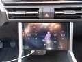 KGM Torres Road Klimaautom. Kamera, LED, Aluf. 17" Groen - thumbnail 20