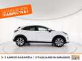 Ford Puma 1.0 ecoboost h titanium x s&s 125cv auto Bianco - thumbnail 5