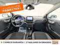Ford Puma 1.0 ecoboost h titanium x s&s 125cv auto Bianco - thumbnail 10