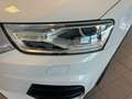 Audi Q3 Q3 2.0 tdi Business 150cv s-tronic Bianco - thumbnail 15