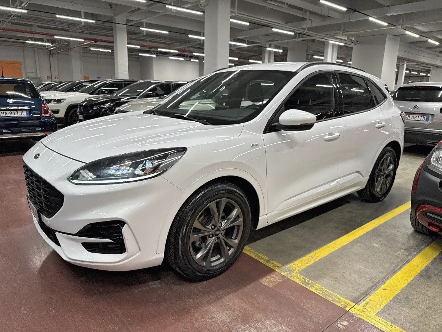 Ford Kuga 1.5 EcoBlue 120CV 2WD ST-Line Blanc - 1