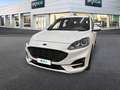 Ford Kuga 1.5 EcoBlue 120CV 2WD ST-Line Blanc - thumbnail 11
