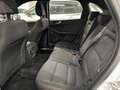 Ford Kuga 1.5 EcoBlue 120CV 2WD ST-Line Blanc - thumbnail 9