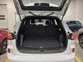 Ford Kuga 1.5 EcoBlue 120CV 2WD ST-Line Blanc - thumbnail 10