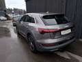 Audi e-tron 50 quattro basis Grau - thumbnail 3