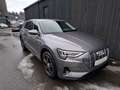 Audi e-tron 50 quattro basis Grau - thumbnail 9