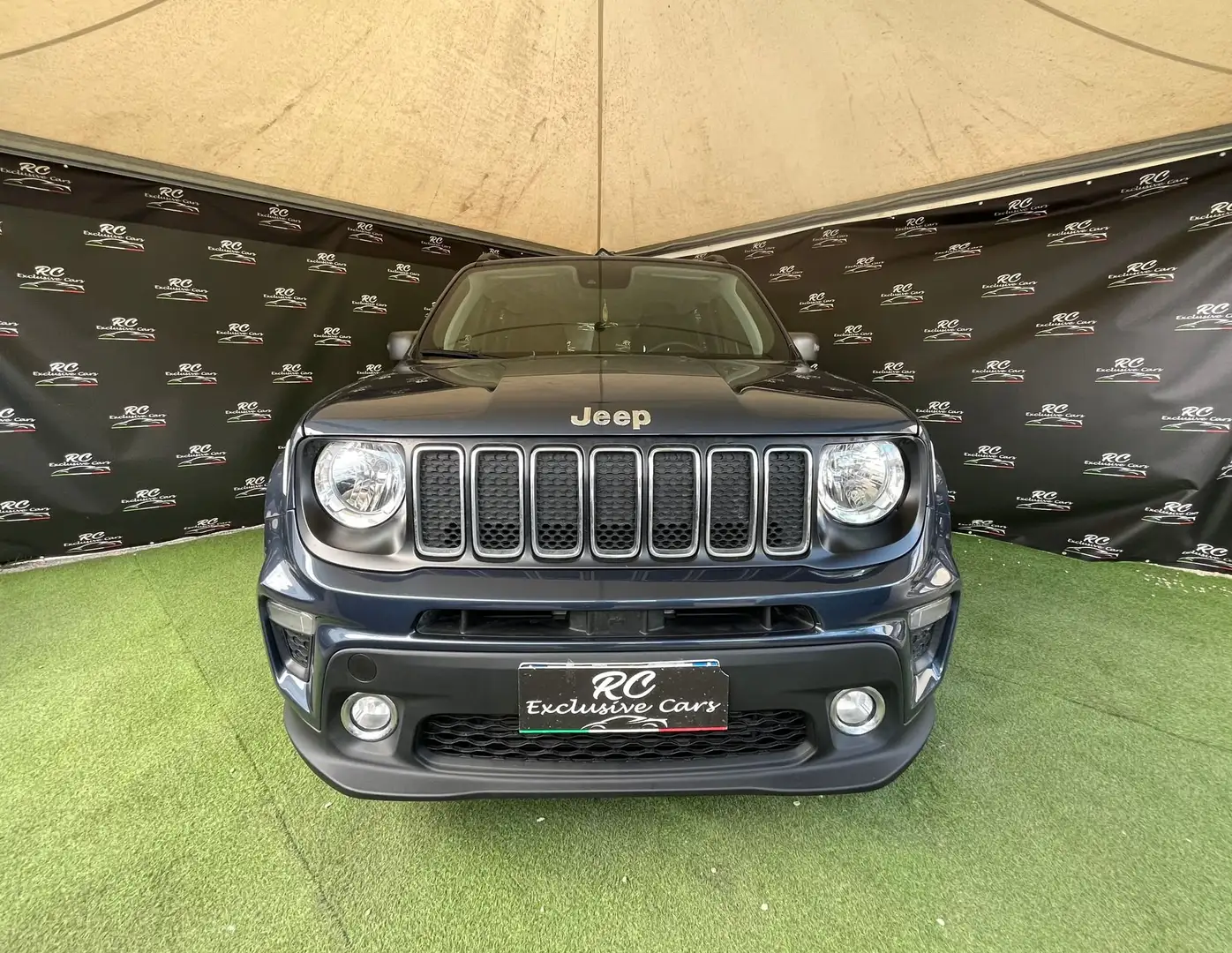 Jeep Renegade Renegade 2019 1.6 mjt Business 2wd 120cv - 1