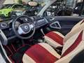 smart forTwo cabrio Passion mhd 52 kW KLIMA SHZ ALU Weiß - thumbnail 10