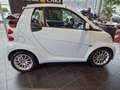 smart forTwo cabrio Passion mhd 52 kW KLIMA SHZ ALU Weiß - thumbnail 8