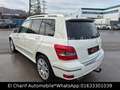 Mercedes-Benz GLK 250 GLK GLK 250 CDI BlueEfficiency 4Matic Blanc - thumbnail 7