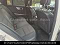 Mercedes-Benz GLK 250 GLK GLK 250 CDI BlueEfficiency 4Matic Blanc - thumbnail 15