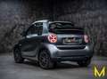 smart forTwo EQ cab. prime EXCLUSIVE:WAT MATT,DAT MATT Grau - thumbnail 5