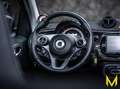 smart forTwo EQ cab. prime EXCLUSIVE:WAT MATT,DAT MATT Grau - thumbnail 15